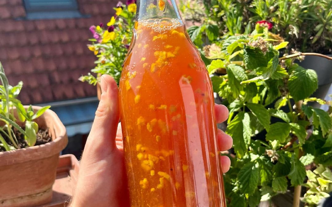 Kombucha maison : recette facile 