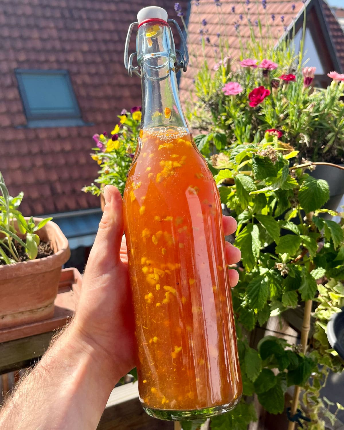 Bouteille kombucha