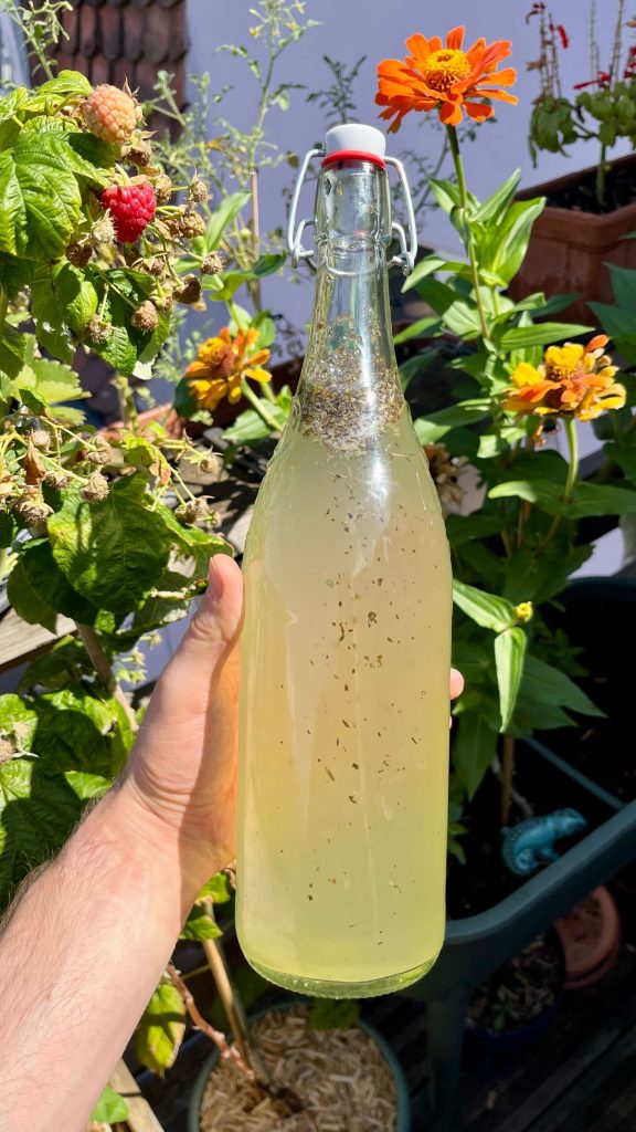 Bouteille de kéfir de fruits