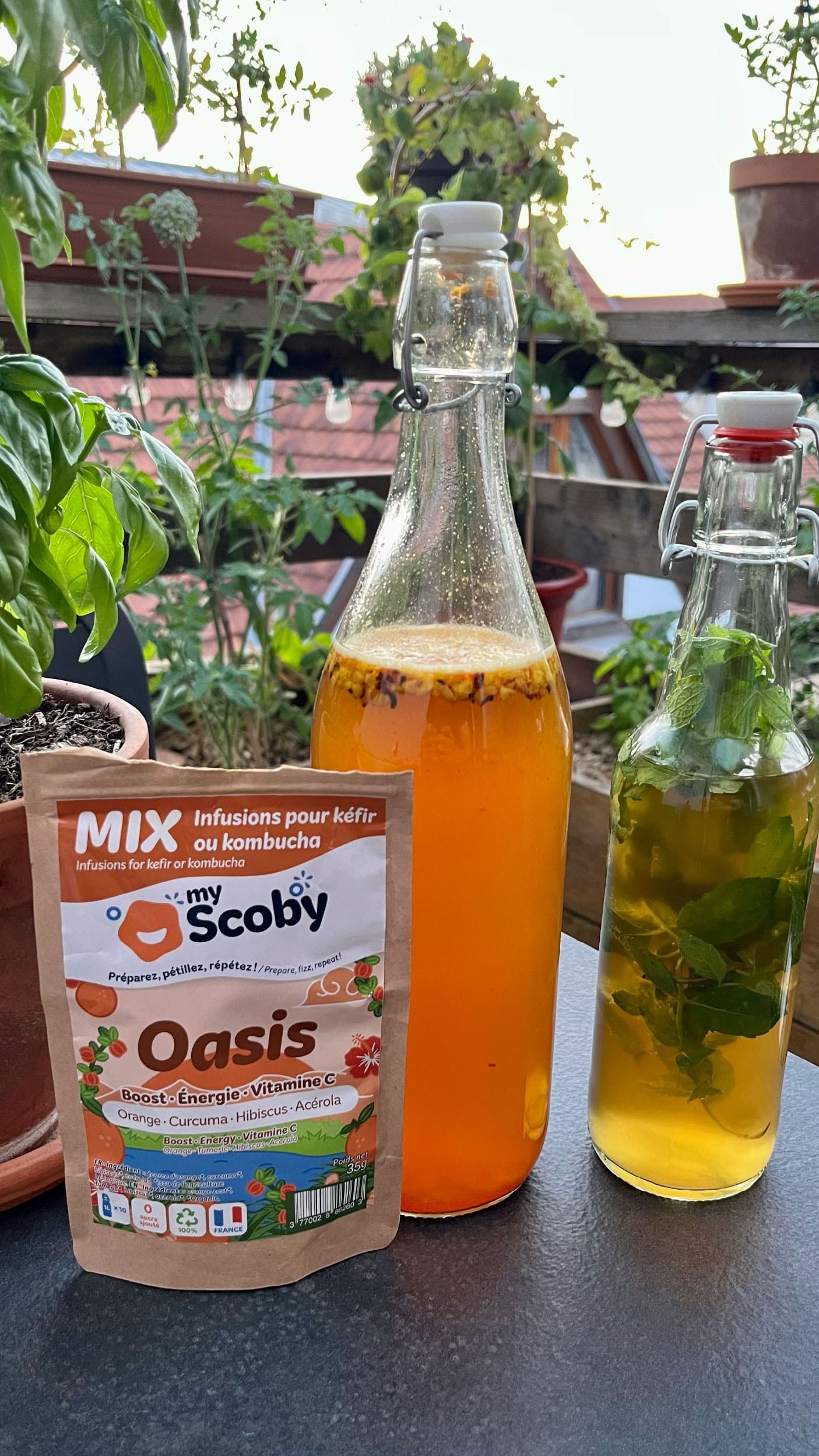 Bouteille de kombucha avec un paquet aromatisation My Scoby