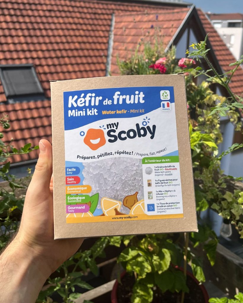 Kit kéfir de fruit My Scoby