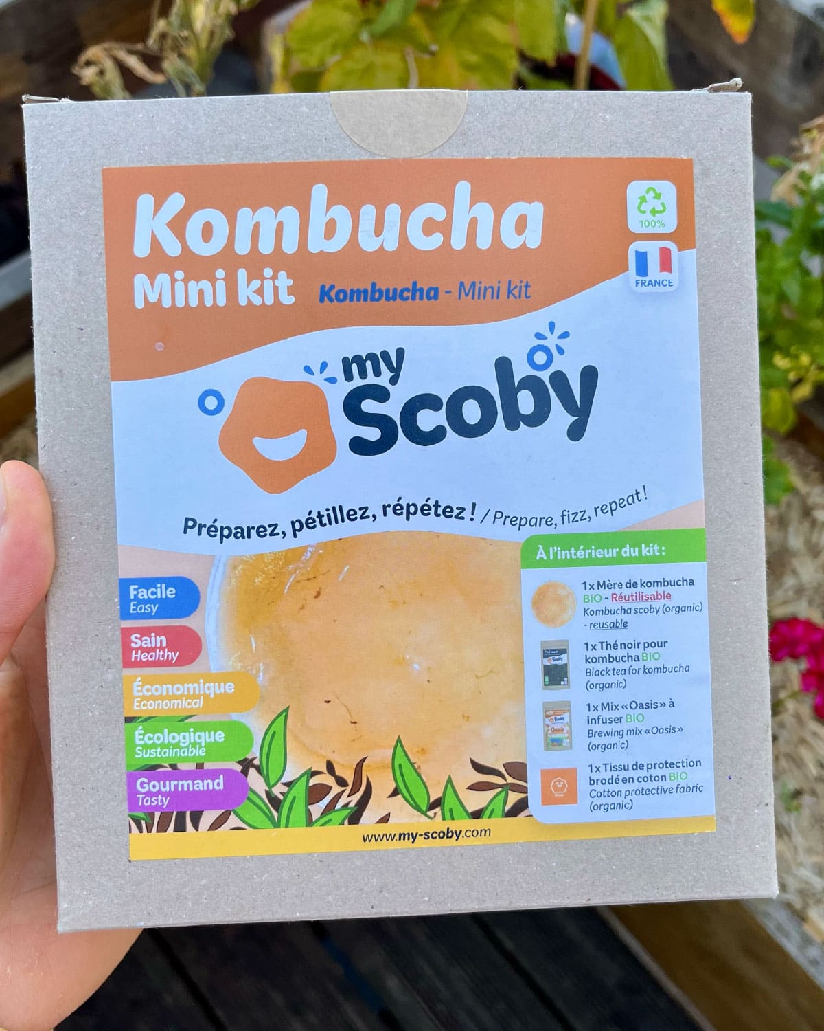 Kir kombucha de My Scoby