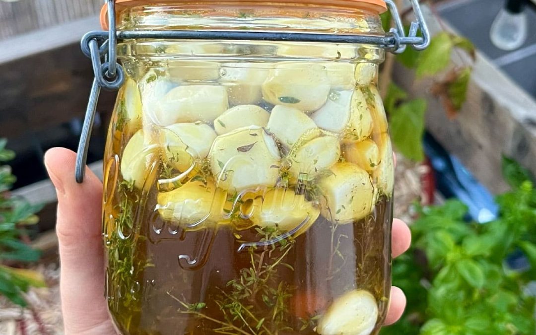 Ail fermenté au miel et au thym